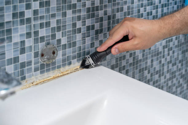 Best Professional Mold Removal  in Leisure City, FL